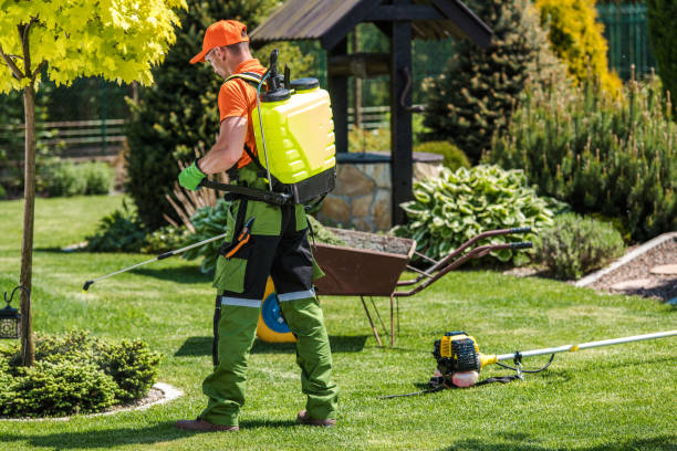 Best Pest Exclusion Services  in Mendon, IL